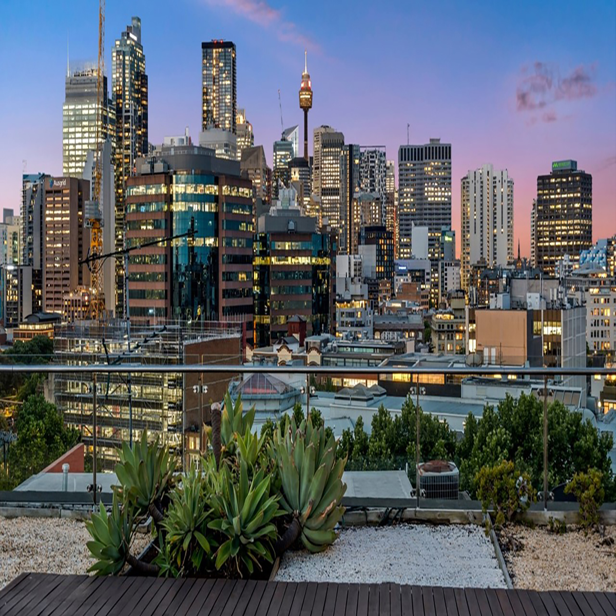 50 Holt St rooftop view_.jpg