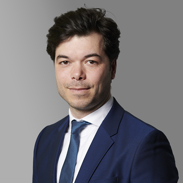Marco d'Hulst.png