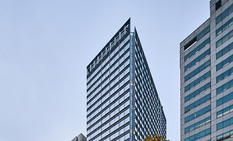 Gangnam-N-Tower.jpg