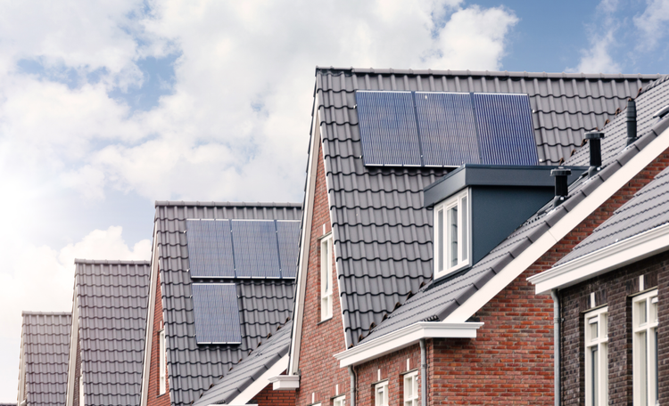 Research Sifra Brook_Social card.png