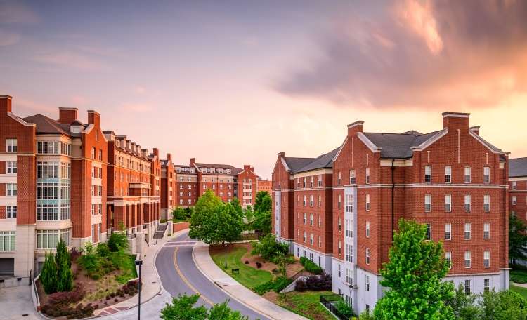 Student Housing_Webcard.jpg