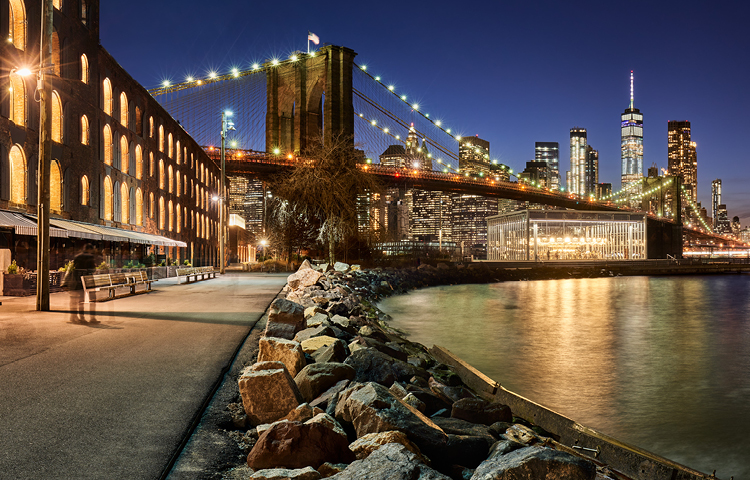 ny-team-page-header-mobile.jpg