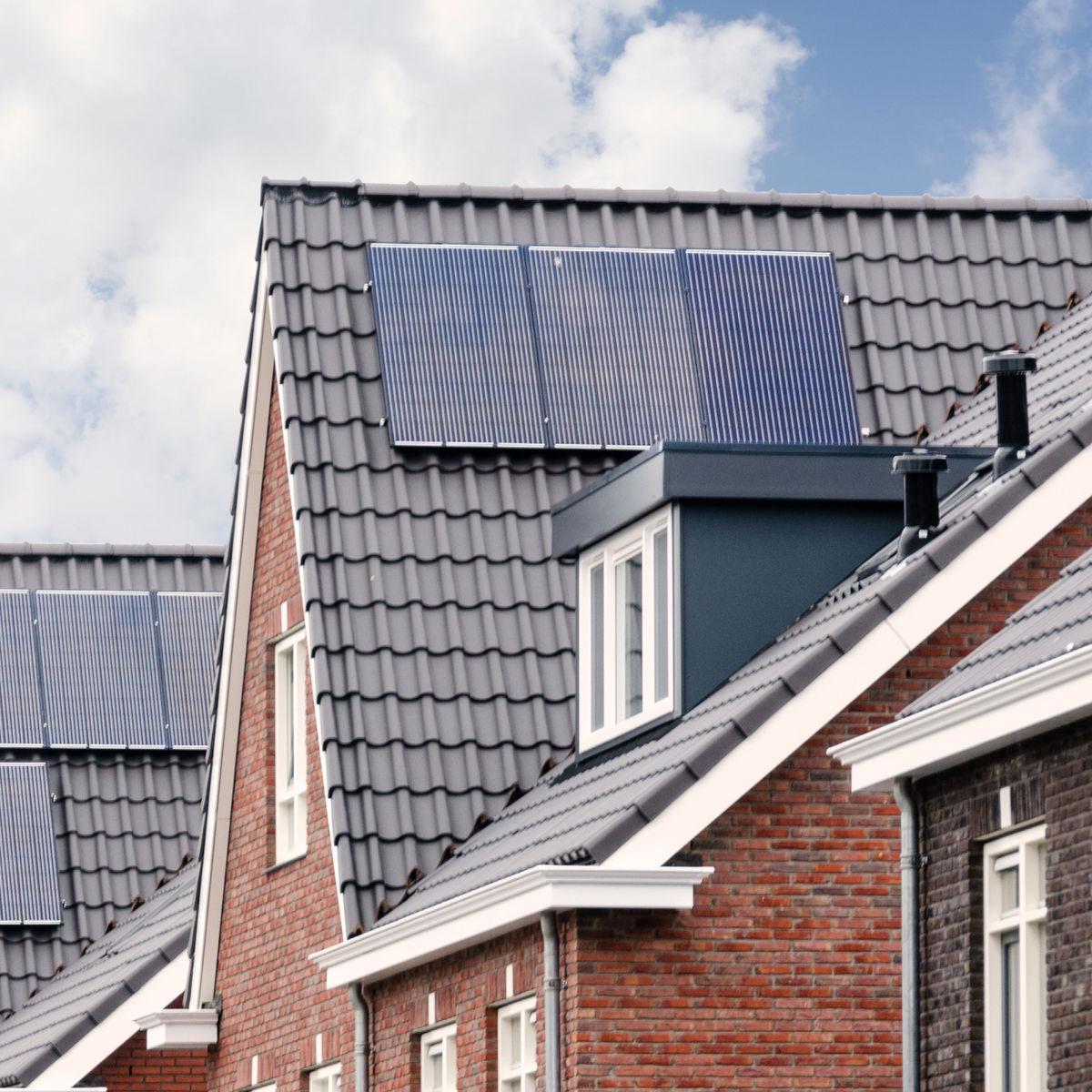 Research Sifra Brook_Social card.png