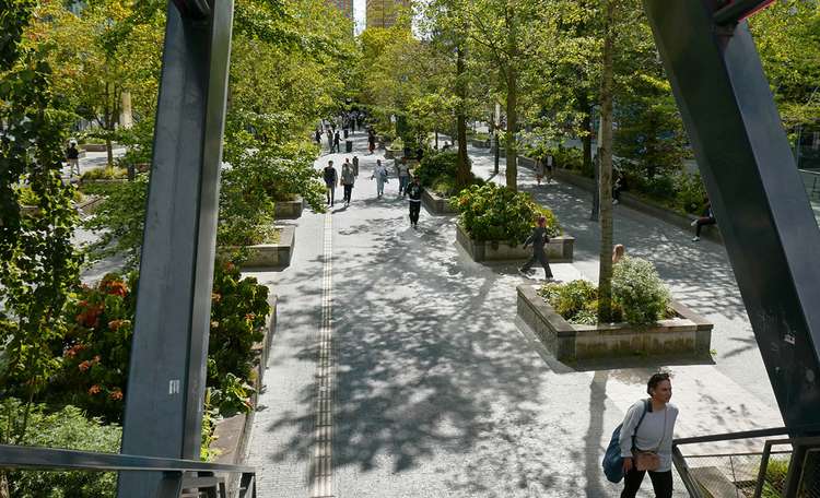 green trees park in city.jpg