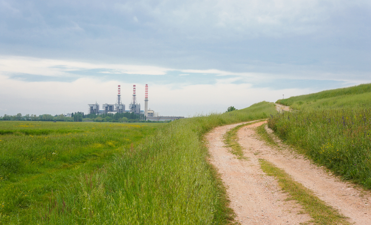 beautiful-shot-green-field-side-dirt-road.jpg
