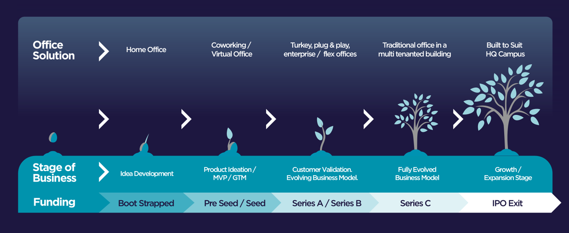 Tree Sappling infographic Updated.png
